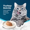 Blue Buffalo Tastefuls Spoonless Singles Turkey Entree Pate Adult Dry Cat Food - 2.6oz - 4 of 4