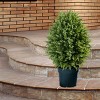 26" Cypress Tree - National Tree Company - 2 of 3