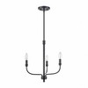 Elk Home Newland 3 - Light Chandelier in  Matte Black - 4 of 4