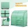 EAGLE PEAK Lean-to Portable Greenhouse, with Wire Shelves, 79"x39"x83" Clear/Green PE Cover - 3 of 4