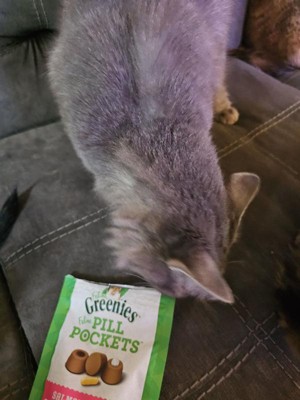 Greenies Feline Pill Pockets Salmon Flavor Cat Treats 3oz Target