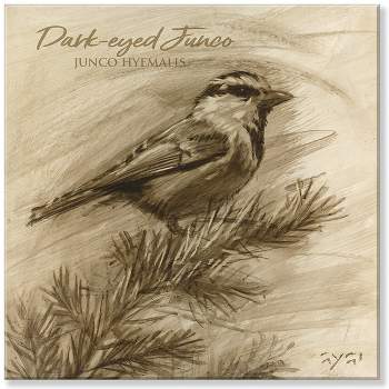 Sullivans Darren Gygi Dark-Eyed Junco Giclee Wall Art, Gallery Wrapped, Handcrafted in USA, Wall Art, Wall Decor, Home Décor, Handed Painted