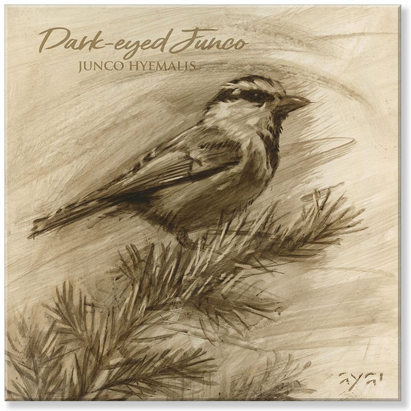 Sullivans Darren Gygi Dark-Eyed Junco Giclee Wall Art, Gallery Wrapped, Handcrafted in USA, Wall Art, Wall Decor, Home Décor, Handed Painted, 1 of 6