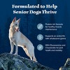 Blue Buffalo Wilderness Senior Dry Dog Food with Chicken Flavor - 28lbs - 4 of 4