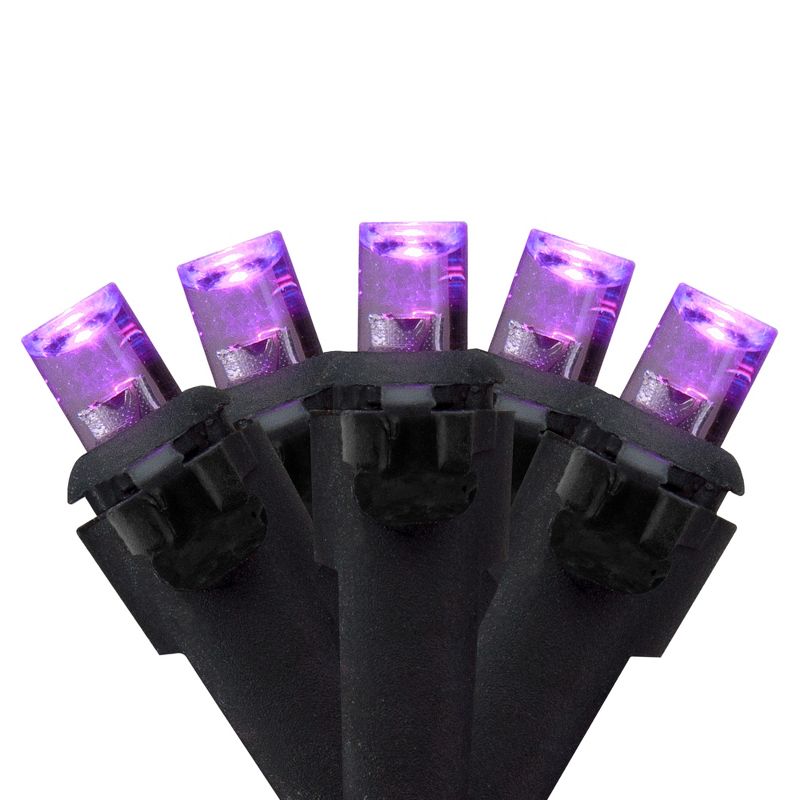 Northlight 50 Count Wide Angle Purple LED Christmas Lights, 16 ft Black Wire, 1 of 4