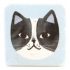 Tabletop Cat Coasters Set/4 - Four Coasters 4 Inches - Gray Black White  Tabby - Cb176108 - Resin - Blue : Target