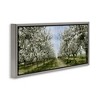 Stupell Industries Blooming White Tree Orchard Floating Frame Canvas Art, Gray, 31" x 14" - 2 of 4
