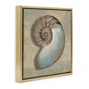 Stupell Industries Shell Beach Objects Design, 18" x 18" - 3 of 4