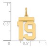 Black Bow Jewelry 14k Yellow Gold, Athletic Collection, Small Polished Number 19 Pendant - 4 of 4