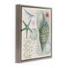 Stupell Industries Sea Shell Inspirational Collage, 25" x 25" - 3 of 4