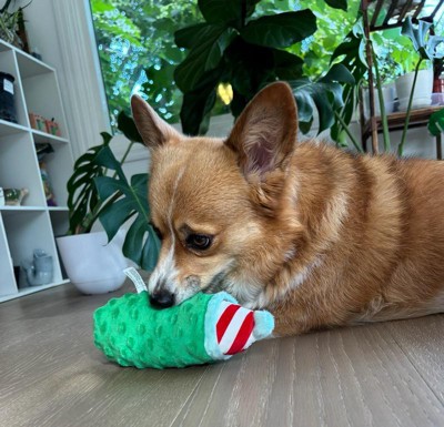 Guest review image 3 of 3, zoom in