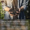 Brut Organic Chicken Compost Nutrient-Rich Garden Fertilizer - 3 of 4