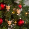 Kurt Adler Indoor/Outdoor Novelty Light Set, National Lampoon Christmas Vacation Wally World Moose Mug, 10 Lights, Clear, 11ft - 4 of 4