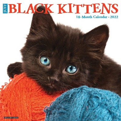 2022 Wall Calendar Just Black Kittens - Willow Creek Press