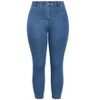 Avenue Women's Plus Size Jayda Skinny High Waist Jean - 4 of 4