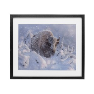 Stupell Industries Winter Bison In Deep Framed Print Under Glass Art - 1 of 4