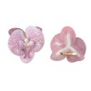 Unique Bargains Women's Phalaenopsis Faux Pearl Duckbill Clip 2 Pcs - 3 of 4