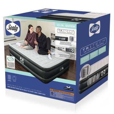 Queen Black and White Raised Inflatable Air Mattress with Pump