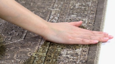 Vintage Light Brown Rectangular Viscose Area Rug