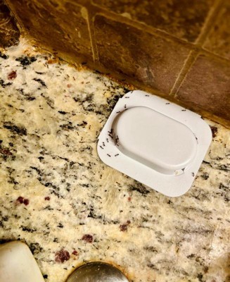 Guest review image 1 of 2, zoom in