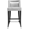TOV Furniture Hart 26" Transitional Velvet Upholstered Counter Stool in Gray - 3 of 4