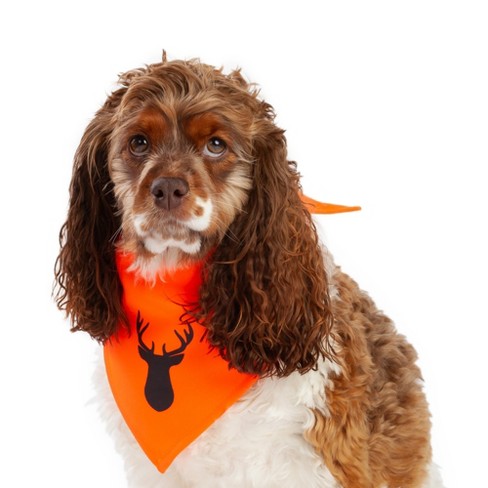 Target dog fashion bandana