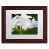Trademark Fine Art - Monica Mize 'Picture Perfect' Matted Framed Art - 2 of 3