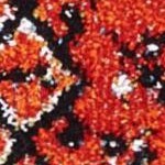 orange/red