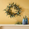 Plum & Post 16" Round Mediterranean Olive Theme Faux Accent Wreath for Doorway Decor - 2 of 3