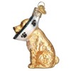 Old World Christmas 3.25 In Cone Of Shame Dog Puppy Surgery Healing Tree Ornaments - 2 of 3