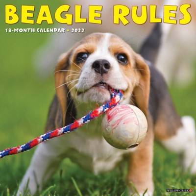 2022 Wall Calendar Beagle Rules - Willow Creek Press
