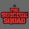 Juniors Womens The Suicide Squad Bullet Logo T-Shirt - 2 of 4