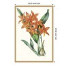 Amanti Art Paxton Tropicals IV by Jennifer Paxton Parker Framed Canvas Wall Art - 4 of 4