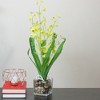 Northlight 23.5" Dancing Lady Orchid Silk Flower Artificial Potted Plant - Yellow - 2 of 3