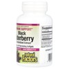 Natural Factors Black Elderberry, 100 mg, 60 Fast-Acting Softgels - 3 of 3