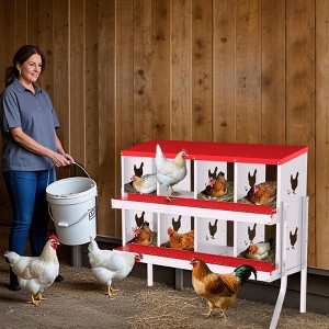 Nesting Boxes for Chickens, Metal Roll Out Laying Nest Box with Perch, Secure Lid Wall Mount or Free Standing - 1 of 4