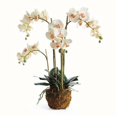 Plum & Post Phalaenopsis Orchid Artificial Plant Drop-In