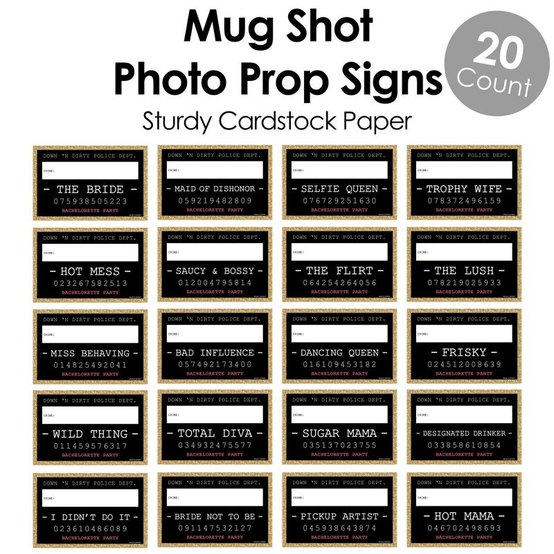 Big Dot of Happiness Girls Night Out Party Mug Shots - Bachelorette Party Photo Booth Props Party Mugshot Signs - 20 Count, 5 of 8