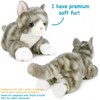 Gavin The Grey Tabby Cat - 13 Inch Stuffed Animal Plush - By Viahart - 4 of 4