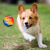 NERF Color Blast Squeak Tennis Ball Dog Toys - 3 of 4