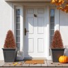 poetree 30" Artificial Cypress Topiary Tree for Outdoor, Fall Porch Decor. - 2 of 4