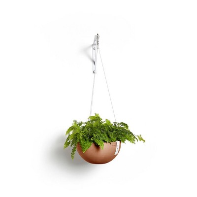 Terracotta Recycled Plastic 10.5" Hanging Planter