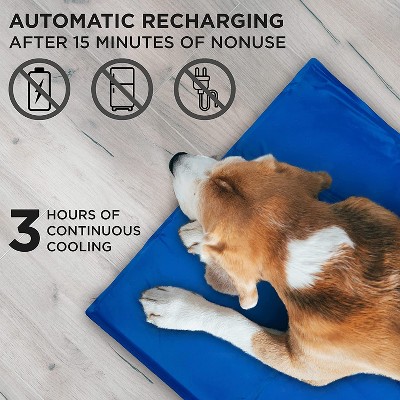 Blue Gel-Based Self-Cooling Pet Mat for Small Dogs