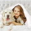 PiccoCasa Silk Satin Solid Reversible Bed Duvet Cover Set with Corner Straps 3 Pcs - 4 of 4