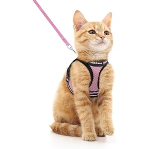 rabbitgoo Cat Harness and Leash Set for Walking Escape Proof, Adjustable Soft Kittens Vest with Reflective Outdoor Vest, Pink, M - 1 of 1