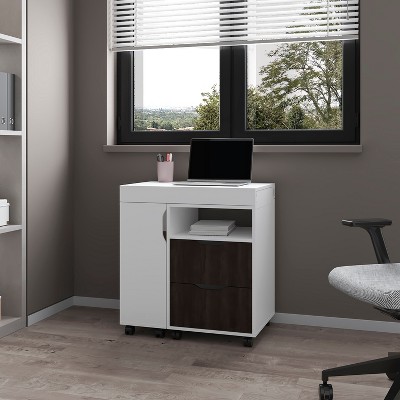 NicBex Extendable Desk with Wheels,2-in-1 Writing Desk&Dresser with 2 Drawers&Open Shelves,Home Office Workstation,White