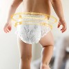 Parasol Clear+Dry Natural Disposable Diaper Pants - Select Size - 4 of 4