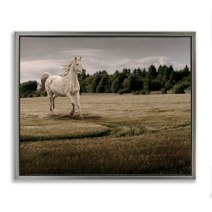Stupell Industries Galloping Through Field Horse Floating Frame Canvas Art - 1 of 4