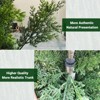 Artificial cedar tree, outdoor potted fake tree, set of two, artificial plant, suitable for indoor home office front porch decoration - 3 of 4