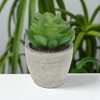 Unique Bargains Artificial Plants New Lotus in Mini Pulp 2.76"x2.76"x4.53" 1 Pc - 2 of 4